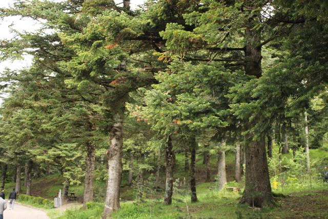 Doğa ve Manzara fotoğrafı